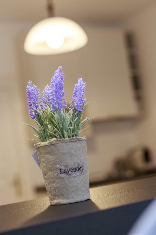 Strada Muresenilor - Savas Apartament ブラショフ エクステリア 写真